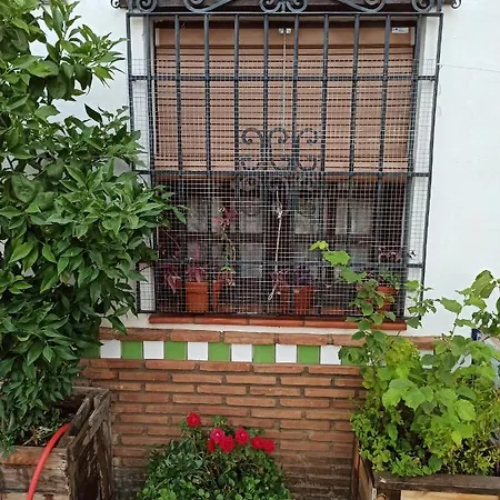 La Casita De Paco Albaicín Apartamento